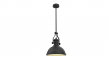 Vinci Lighting Inc. P1010BK - Pendents Black