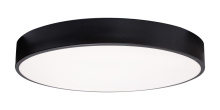 AFX Lighting, Inc. (Canada) BAYF19LAJUDBK - Bailey 19'' LED Flush Mount,120-277V,30W,5 CCT,BK