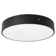 AFX Lighting, Inc. (Canada) BAYF24LAJUDBK-BB - Bailey 24'' Flush AJ CCT 120-277, BK, Bat