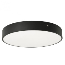 AFX Lighting, Inc. (Canada) BAYF30LAJUDBK-BB - Bailey 30'' Flush AJ CCT 120-277V, BK, Bat