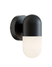 AFX Lighting, Inc. (Canada) IRVW0408LAJUDBK - Irvine 4''w x 8''h Outdoor LED 5CCT 120-277V BK