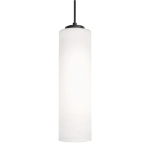 AFX Lighting, Inc. (Canada) LEOP0412MBBK - Leo 12'' Med Base Pendant, 120V, BK