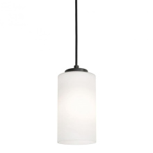 AFX Lighting, Inc. (Canada) LEOP04MBBK - Leo 06''h Med Base Pendant,120V,BK
