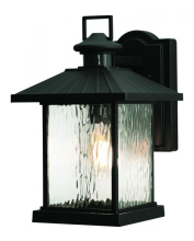 AFX Lighting, Inc. (Canada) LNNW0914MBBK - LENNON OUTDOOR MEDIUM BASE 120V