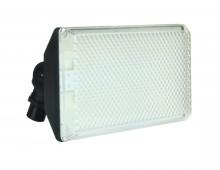 AFX Lighting, Inc. (Canada) TPDW1300L50BK - 8" Outdoor LED Flood