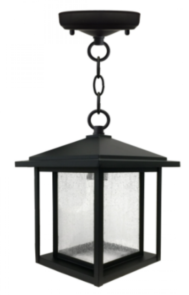 11" Outdoor Chain Hung Pendant in Black Finish with clear glass