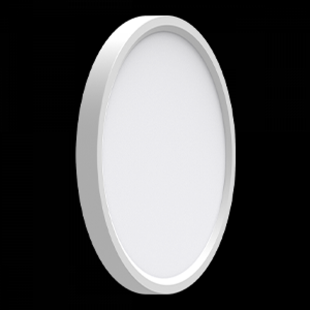 12 IN LED CEILING LUMINAIRE EDGELIT 5 CCT SELECTABLE 24W 120V 2700/3000/3500/4000/5000K