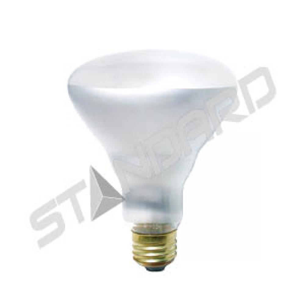 65BR30/FL/20M/120V/STD