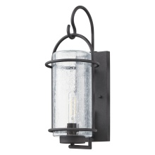 Thesis 207137A - 1L Exterior Wall Sconce / Murale exterieure 1L