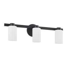 Thesis 207036A - 3L Vanity Light / Murale de salle de bain 3L