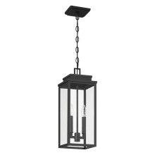 Thesis 207746A - 2L Exterior Pendant Light / Luminaire suspendu exterieur 2L