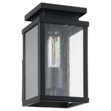 Thesis 207049A - 1L Exterior Wall Sconce / Murale exterieure 1L
