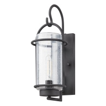 Thesis 207076A - 1L Exterior Wall Sconce / Murale exterieure 1L
