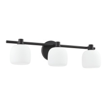 Thesis 207011A - 3L Vanity Light / Murale de salle de bain 3L