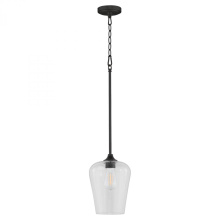 Quorum 3313-59 - Raymond 1 Light Pendant, Matte Black