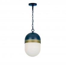 CRYSTORAMA CAP-8507-MK-TG - Brian Patrick Flynn Capsule 1 Light Matte Black + Textured Gold Outdoor Pendant
