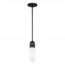 CRYSTORAMA CAP-8511-MK-TG - Brian Patrick Flynn Capsule 1 Light LED Matte Black + Textured Gold Mini Pendant