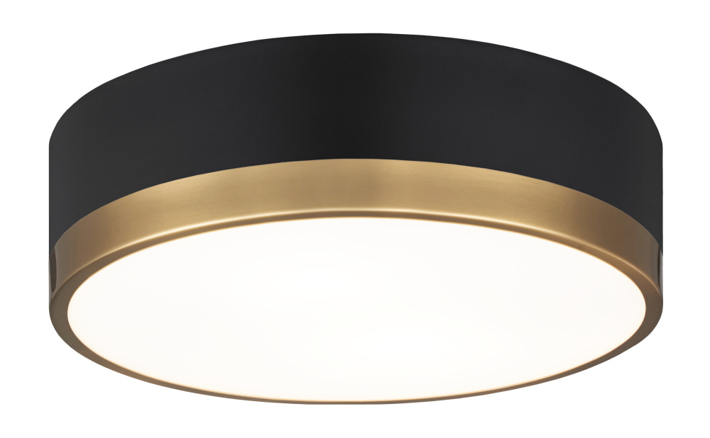 Trydor Ceiling Mount