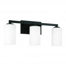 Capital Canada 119831BI-545 - 3-Light Vanity