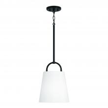 Capital Canada 349411MB - 1-Light Pendant