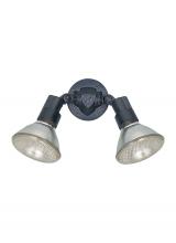 Generation Lighting 8642-12 - Two Light Adjustable Swivel Flood Light