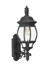 Generation Lighting 88201-12 - Wynfield Two Light Outdoor Wall Lantern