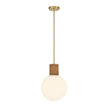 Savoy House Canada 7-4082-1-322 - Jarrell 1-Light Pendant in Warm Brass