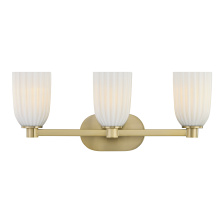 Savoy House Canada 8-1245-3-127 - Baldwin 3-Light Bathroom Vanity Light in Noble Brass