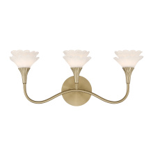 Savoy House Canada 8-5081-3-127 - Florena 3-Light Bathroom Vanity Light in Noble Brass by Breegan Jane