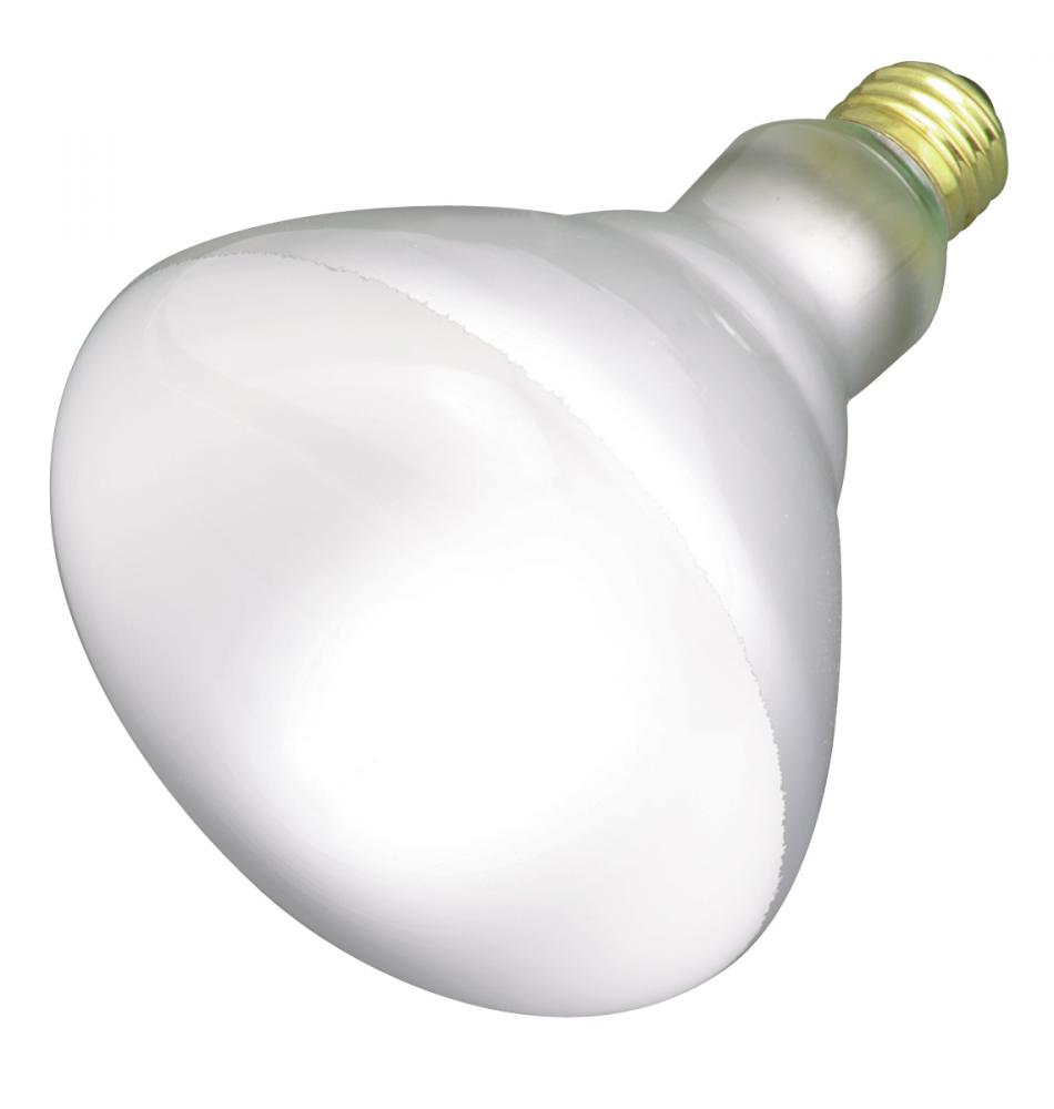 65 Watt BR40 Incandescent; Frost; 2500 Average rated hours; 580 Lumens; Medium base; 120 Volt;