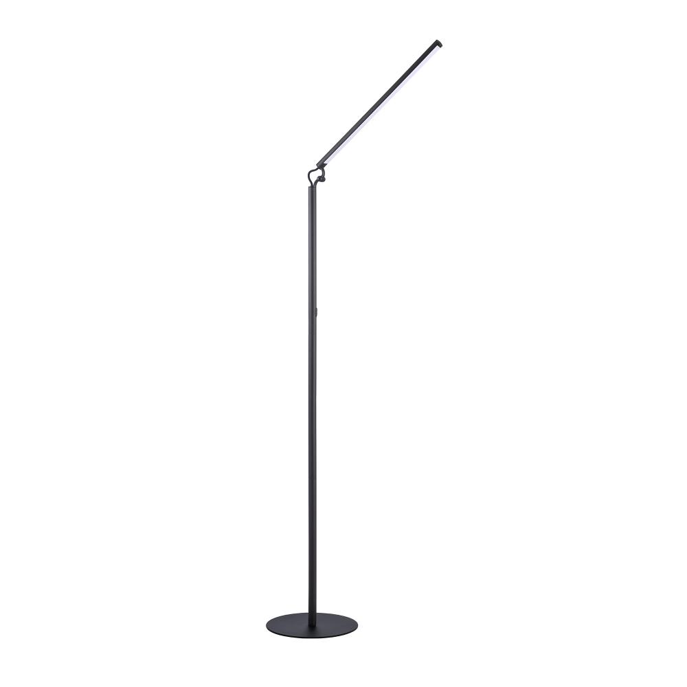 Zuon Black Floor Lamp
