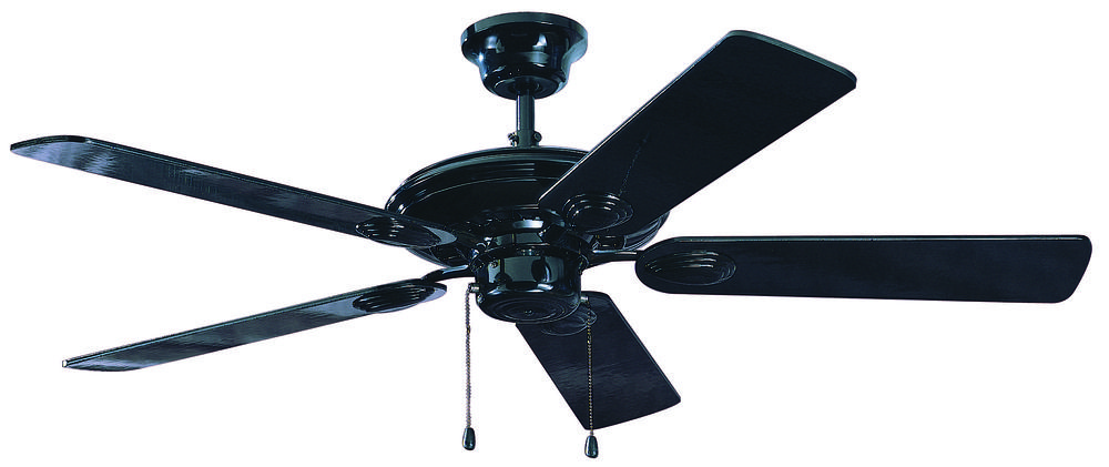 Black Ceiling Fan