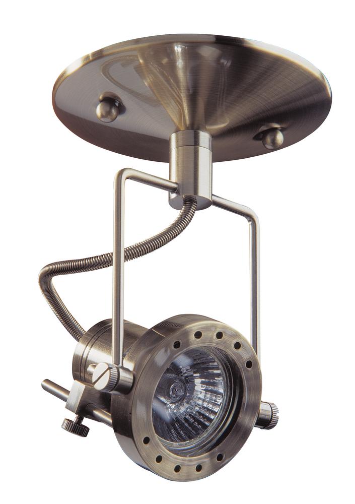 One Light Antique Brass Directional Flush Mount