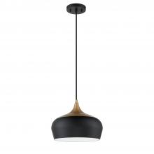 Kendal PF129-BLK/BRS - 1 LIGHT PENDANT