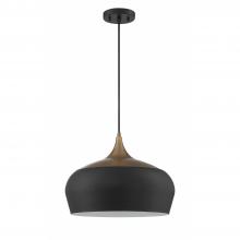 Kendal PF133-BLK/BRS - 1 LIGHT PENDANT