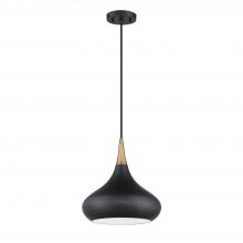 Kendal PF138-BLK/BRS - 1 LIGHT PENDANT