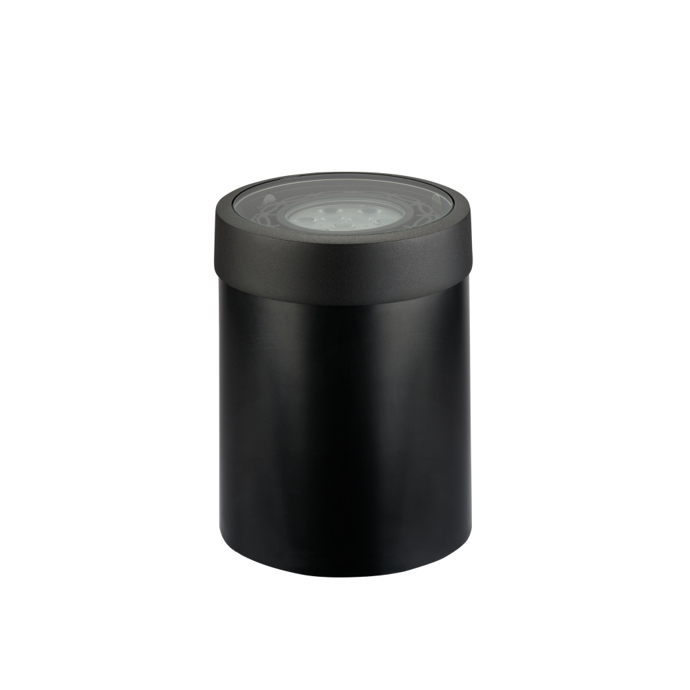 Well Light with Brass Trim Par36 ( Drop-In) in Black Brass