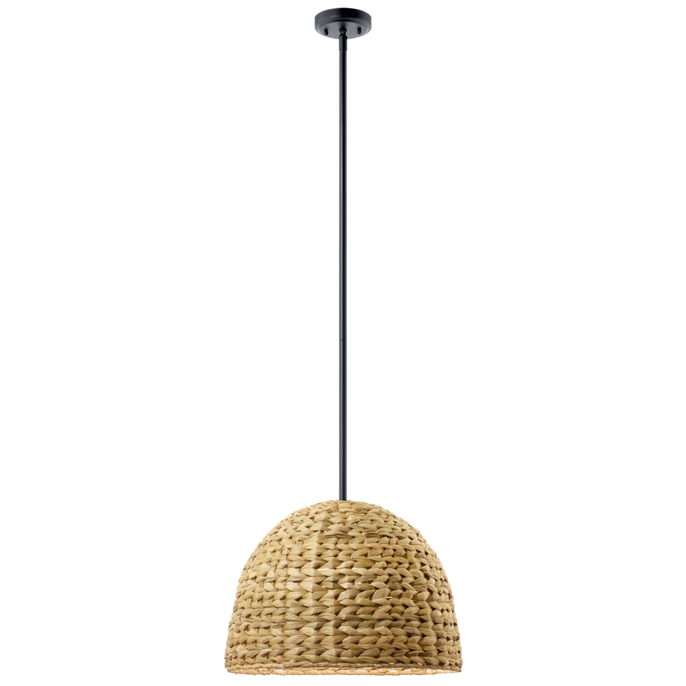 Raffiana 14" 1-Light Pendant with Opal Glass in Black