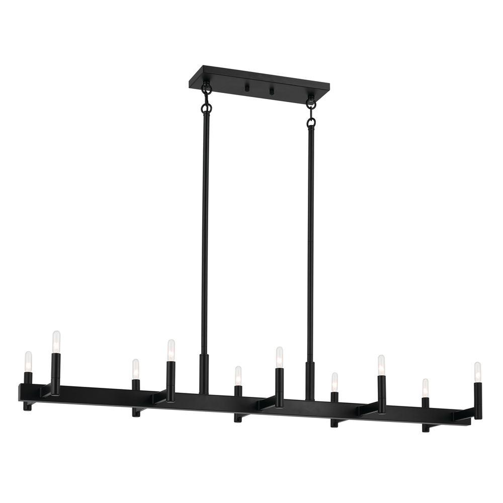 Erzo 50" 10 Light Linear Chandelier in Black