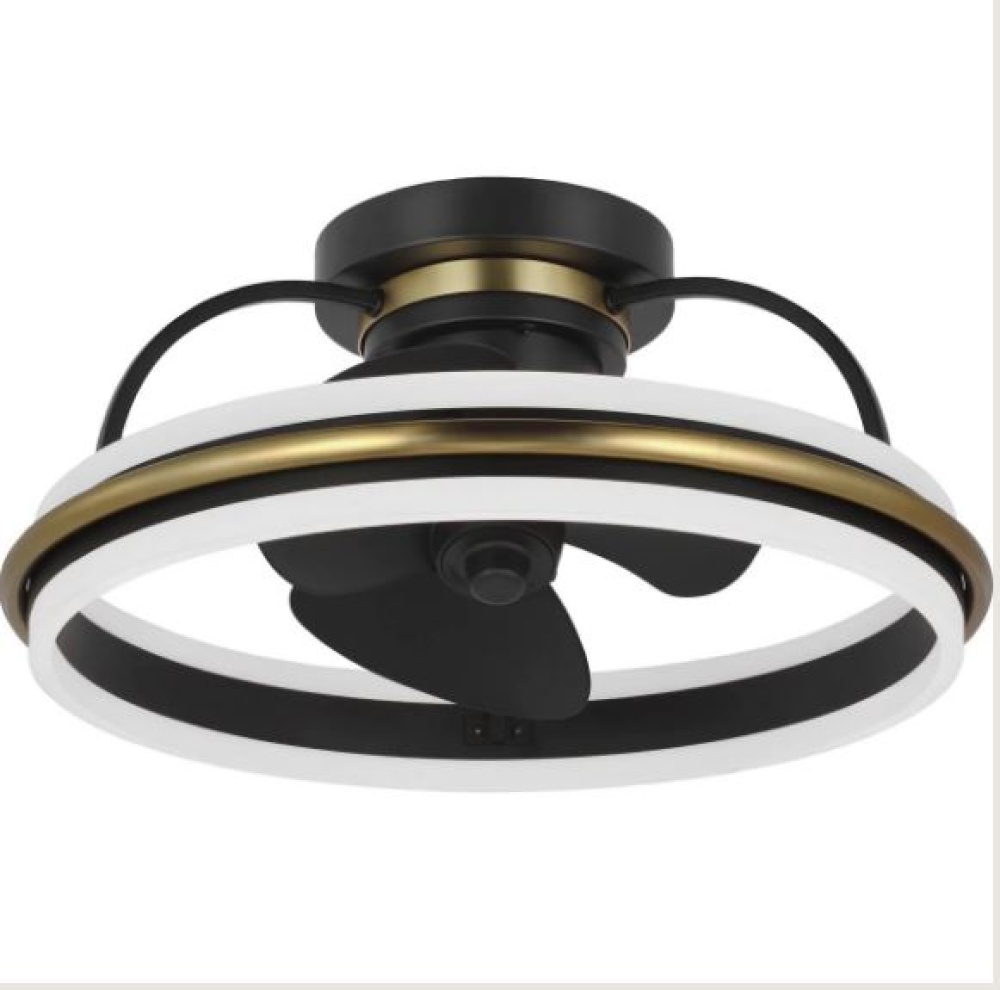 P250116-31M-30 CLG FAN