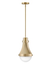 Hinkley Canada 39057BBR - Small Pendant