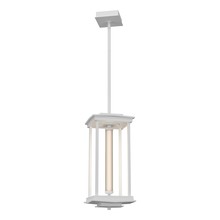 Hubbardton Forge - Canada 131631-LED-MULT-02-ZM0734 - Athena 1-Light Medium LED Lantern