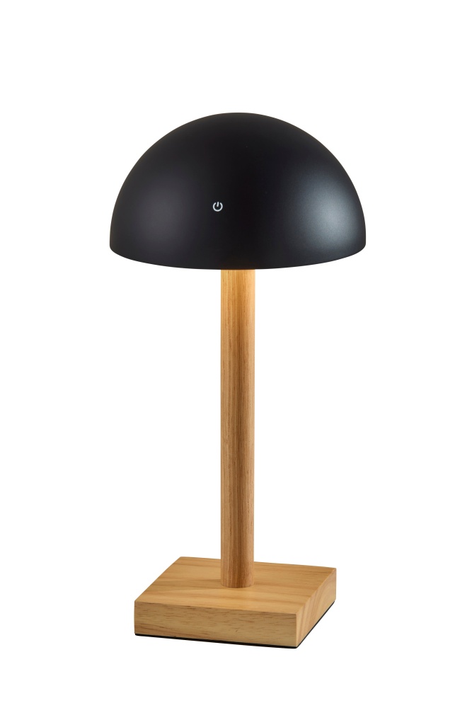 Nash LED Cordless Table Lamp- Black
