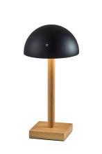 AFJ - Adesso 4065-01 - Nash LED Cordless Table Lamp- Black