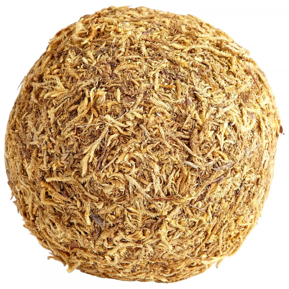 Small St. Augustine Fllr