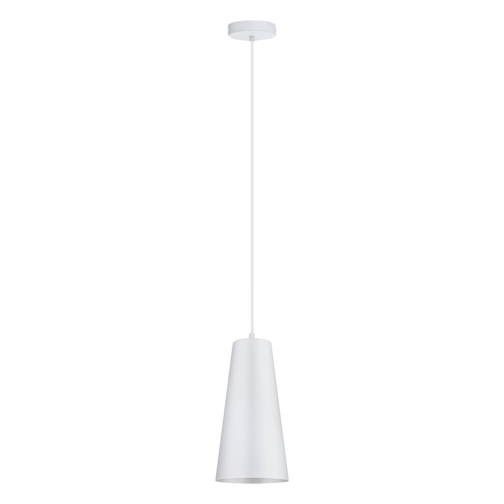1L Pendant Light / Luminaire suspendu 1L