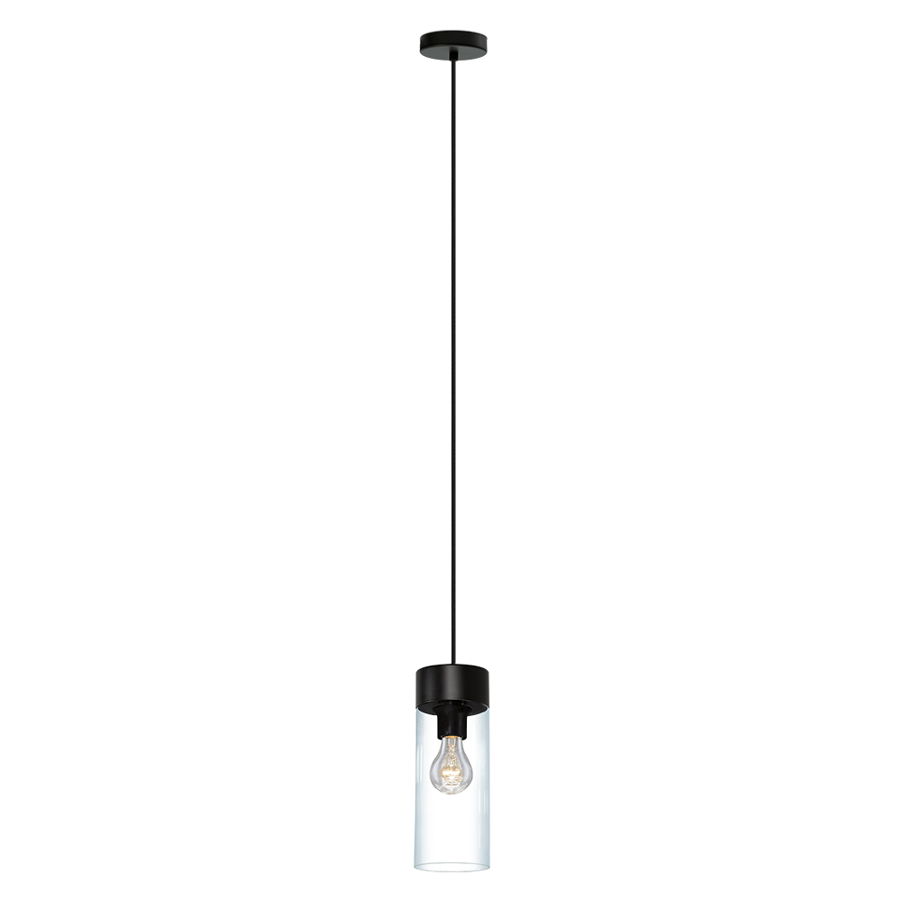1L Pendant Light / Luminaire suspendu 1L