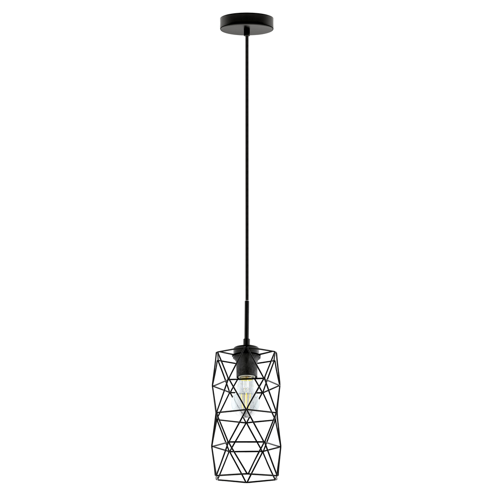 1L Pendant Light / Luminaire suspendu 1L