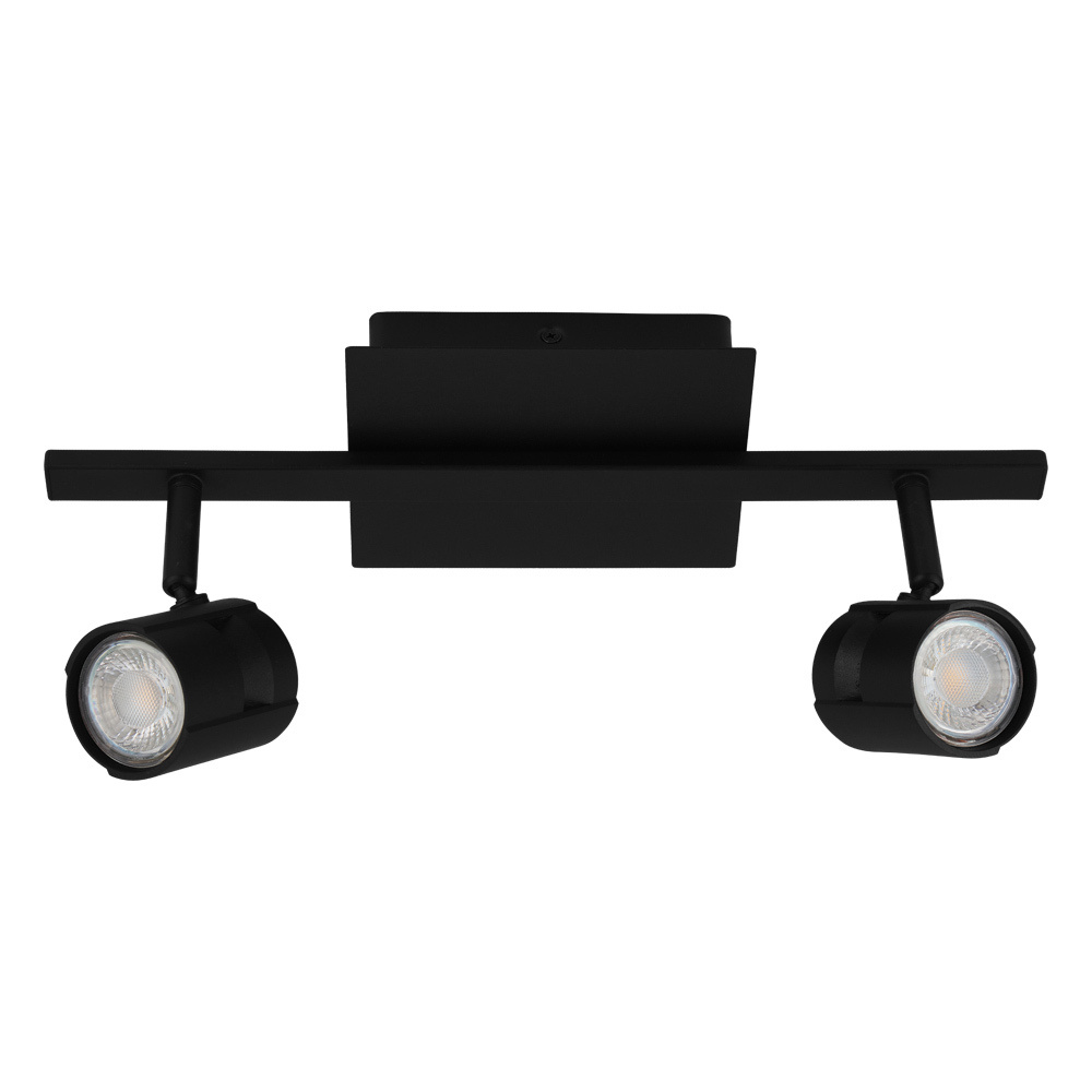 2L Track Light / Luminaire sur rail 2L