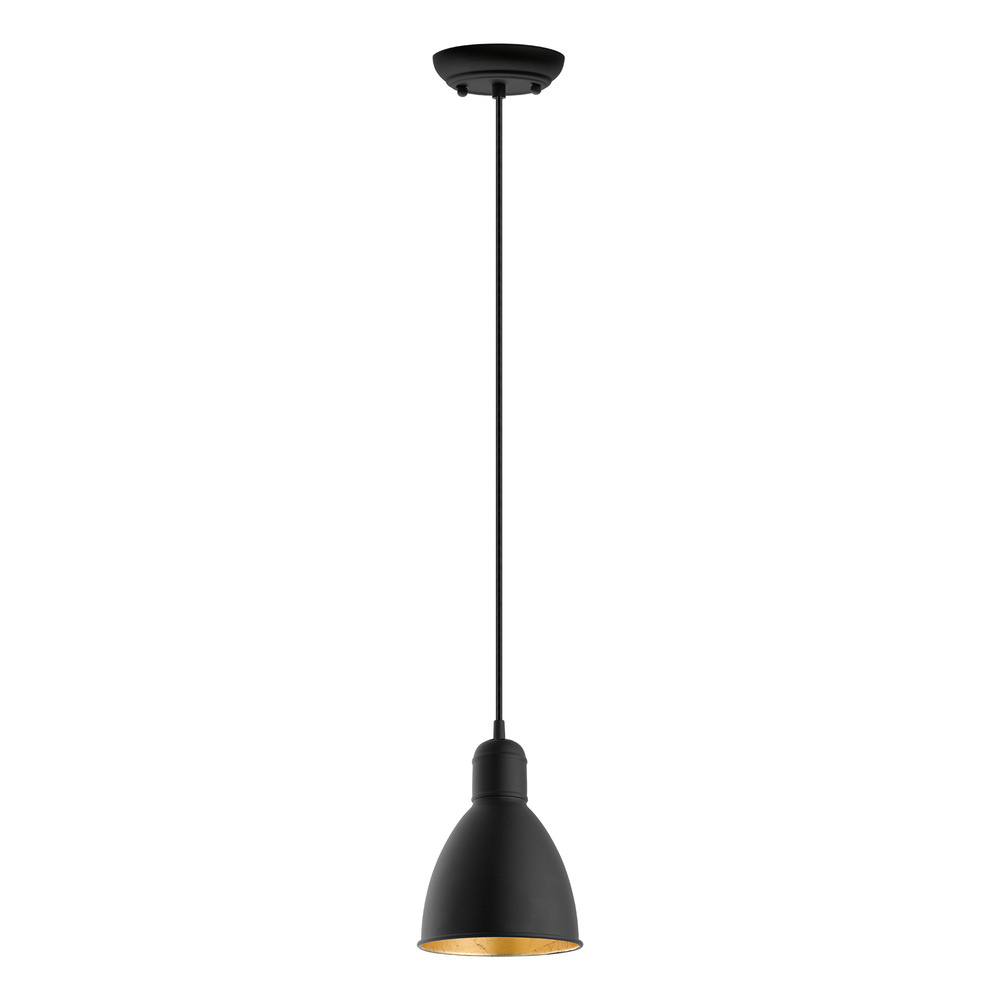 1L Pendant Light / Luminaire suspendu 1L